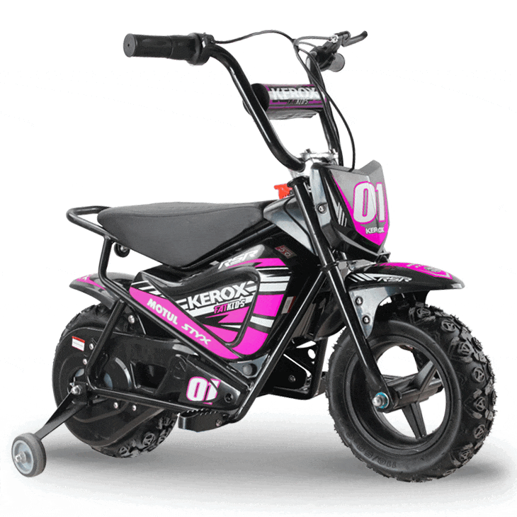 Pocket bike E-Fat Rose